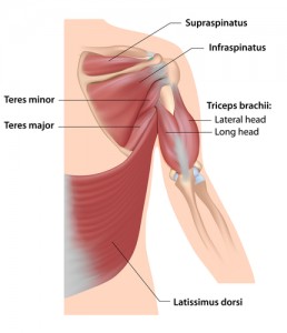 lat and long head of tri.jpg