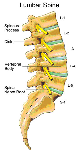 lumbAR-SPINE.jpg